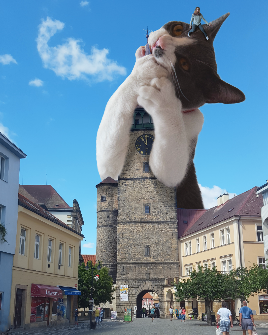 Created as a project for my Photoshop course, a visual of my cat supersized to play with a clock tower, topped with me sitting on the cat. All images were shot by me and compiled in Photoshop